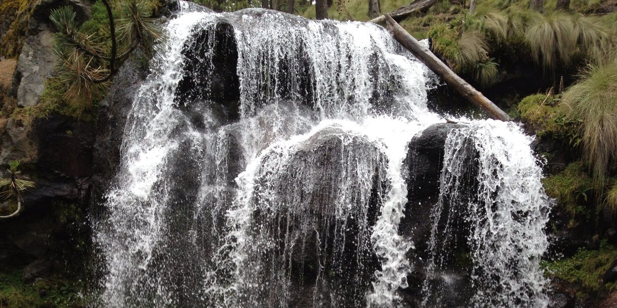 ComoSosa's profile banner image