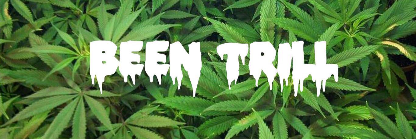 DankToke420's profile banner image