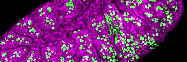 DuronioLab Profile Banner