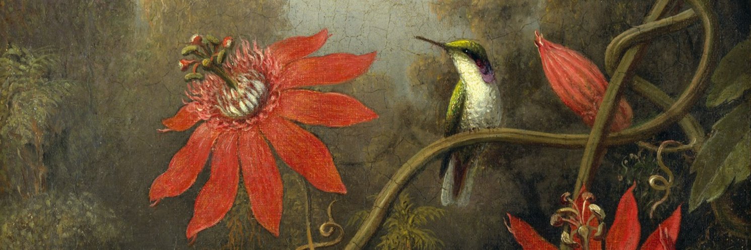 laquilonius's profile banner image