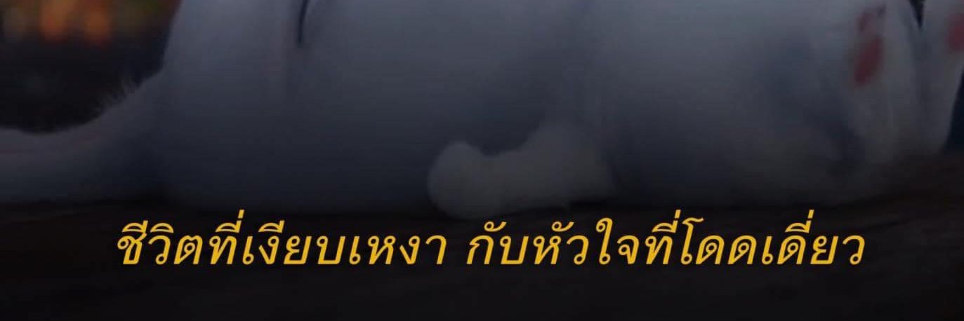 MoonoiZaZa banner