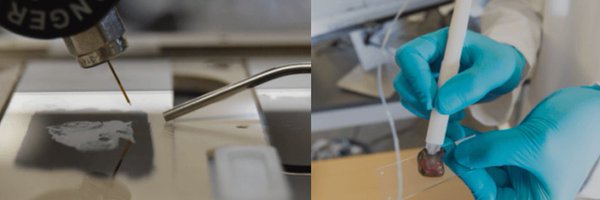 EberlinLab Profile Banner