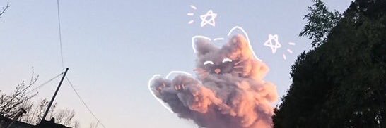 Claws 😸 banner