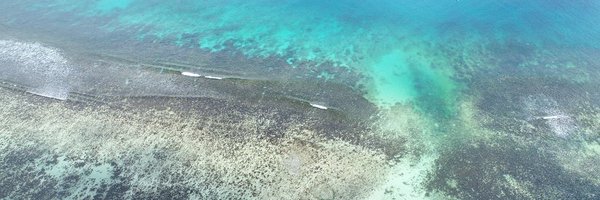 MariaCascad Profile Banner