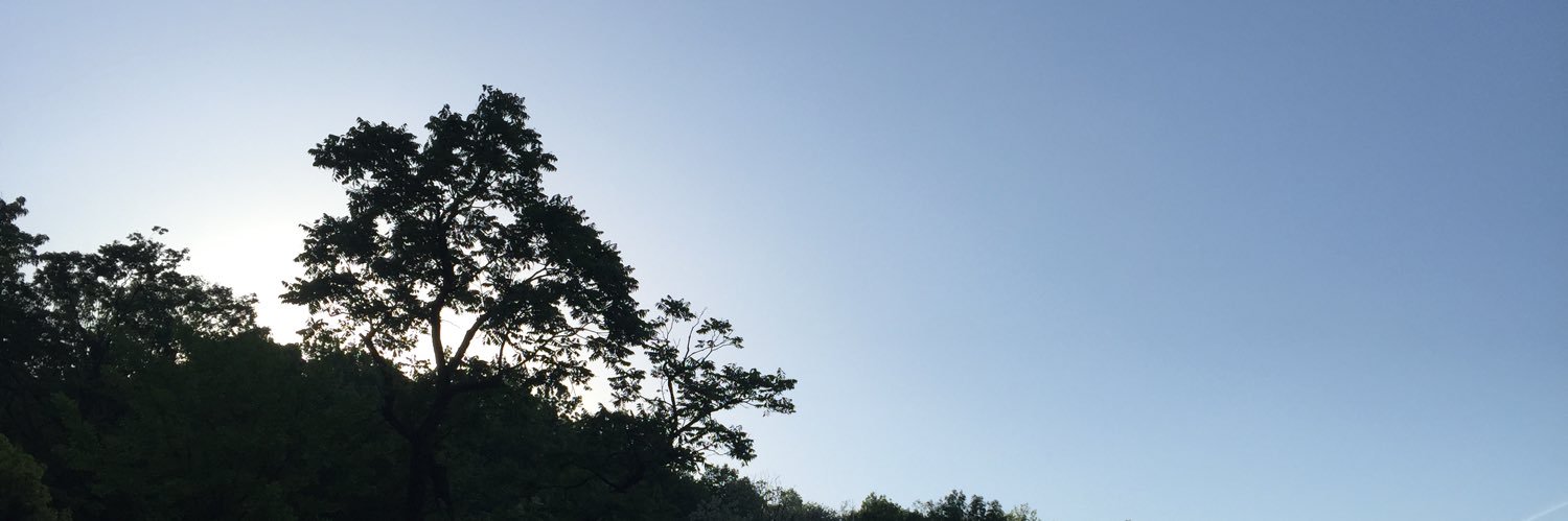 viemaro's profile banner image