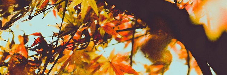 paigefosterrr's profile banner image