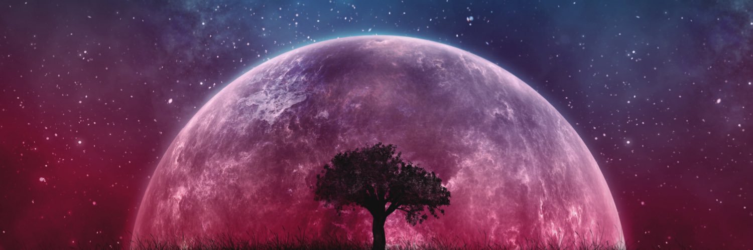 SmithhHunter's profile banner image