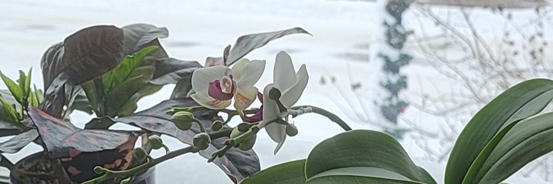 BrandonBrekke's profile banner image