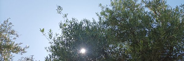 VidadROB Profile Banner
