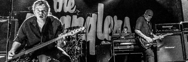 gonzocurl Profile Banner