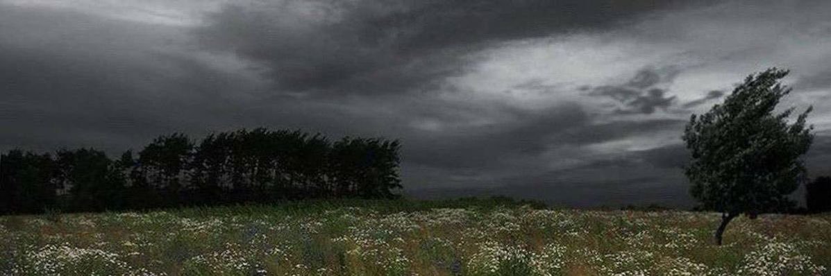 عبدالعزيز banner