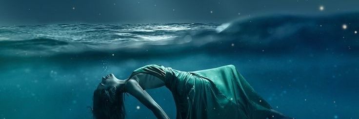 _erizo_mar's profile banner image