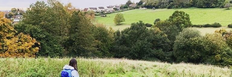 R banner