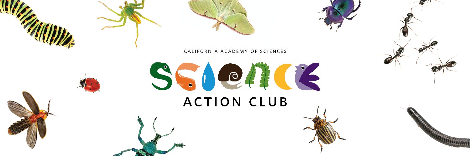 Rachael Van Schoik banner