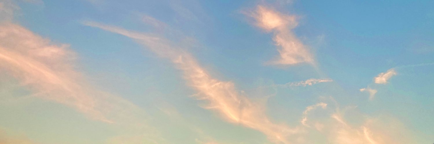 Lyli J banner