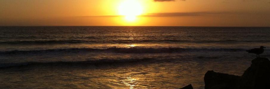 LC8537's profile banner image