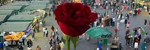 abdobahi5's profile banner image