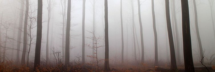 scary_contest's profile banner image