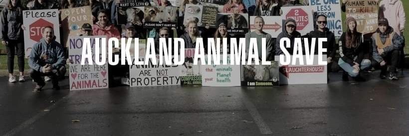 Auckland.Animal.Save.NZ banner