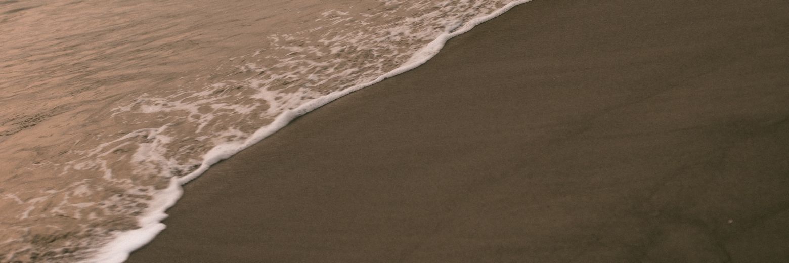 avogrounds's profile banner image