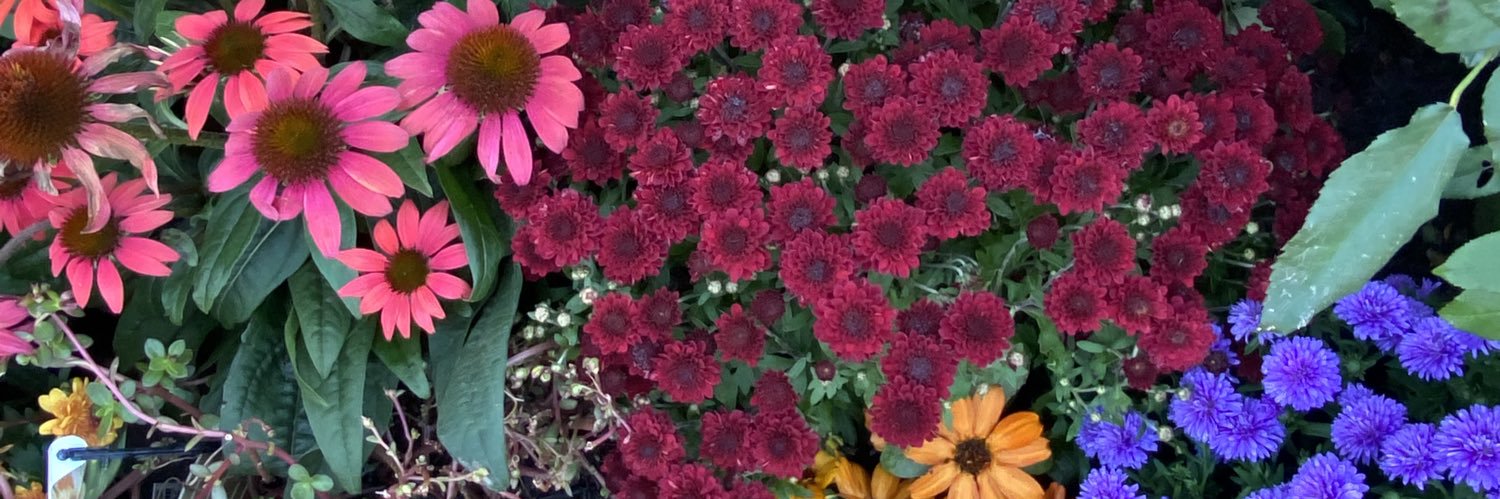 Jenn The Producer banner