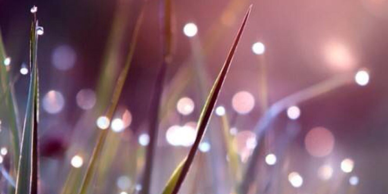 helloworld2049's profile banner image