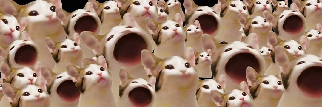 cat_chyou's profile banner image