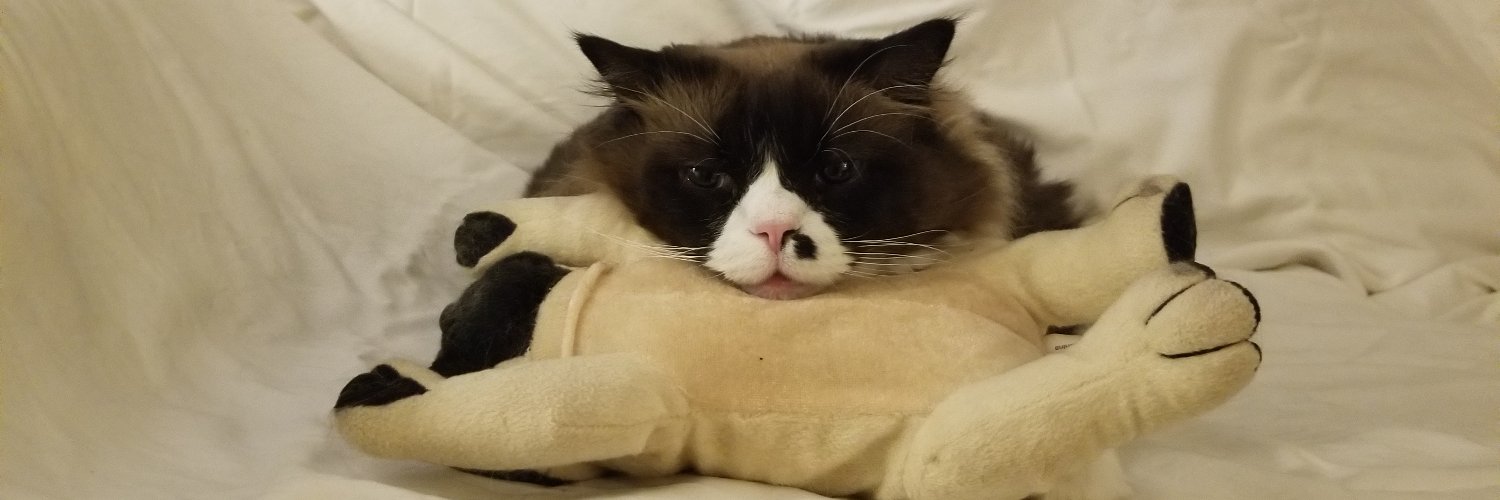 cocoajohnston's profile banner image