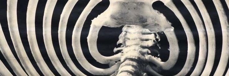 T1NGY_'s profile banner image