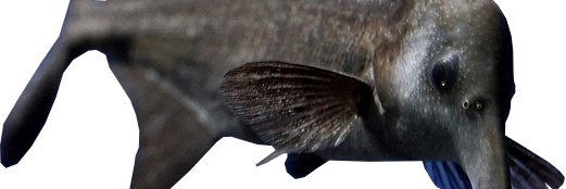 kfyolk's profile banner image