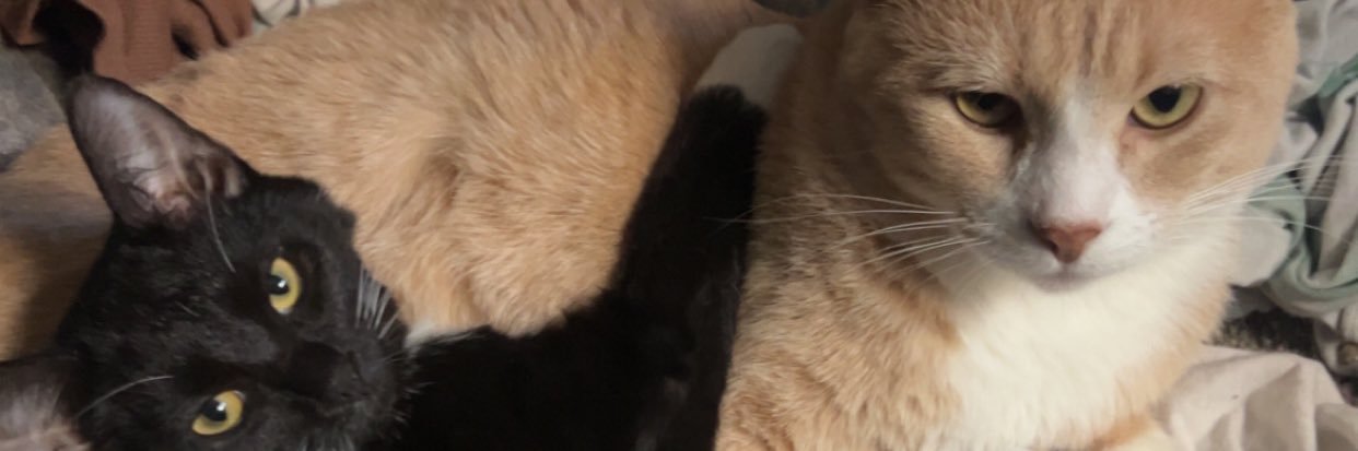glitterdingzzz's profile banner image