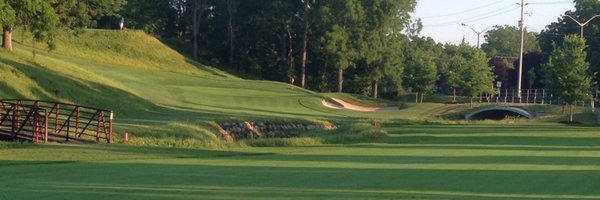 mark_piccolo Profile Banner