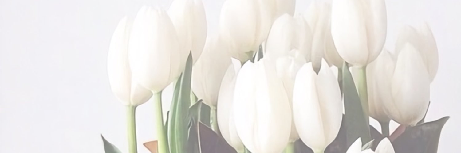 mh______19's profile banner image