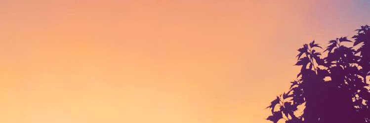 Ana_So_'s profile banner image