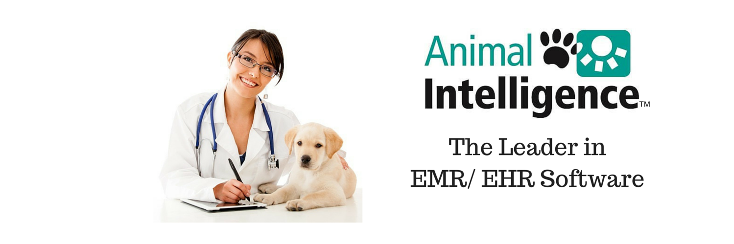 anintelsoftware's profile banner image