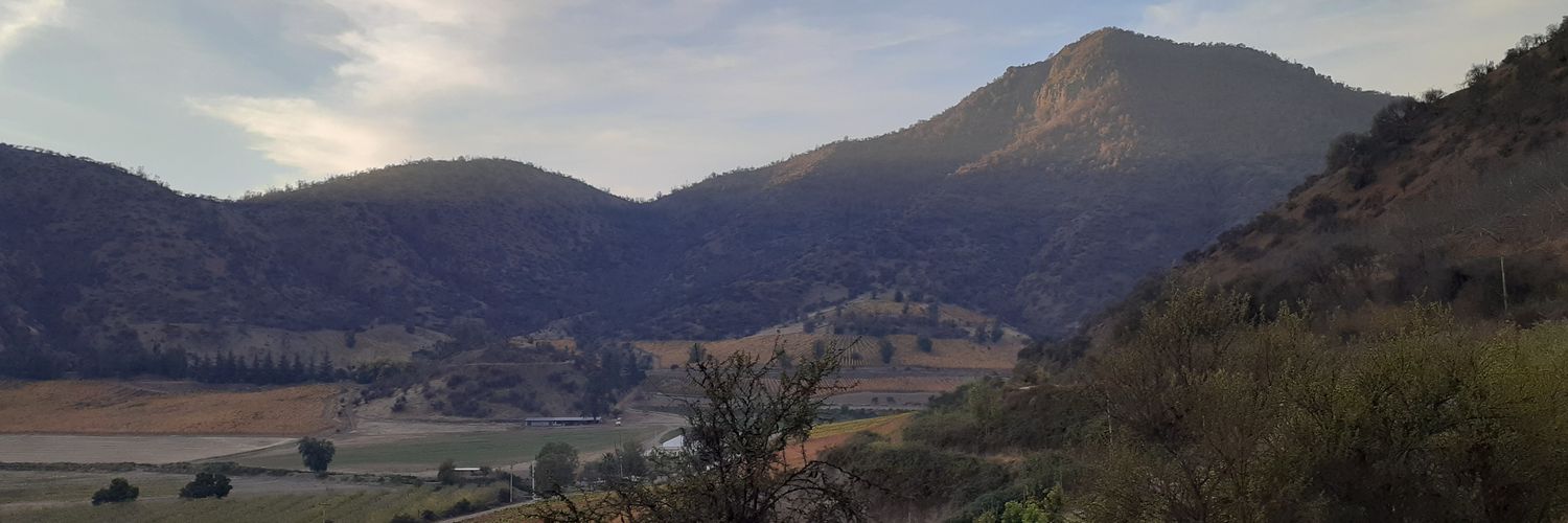 cheodos_'s profile banner image