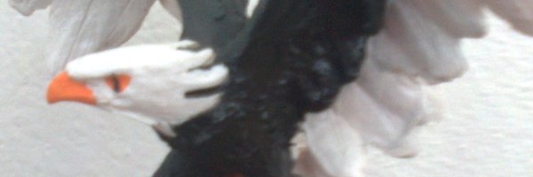 Yashika_86's profile banner image