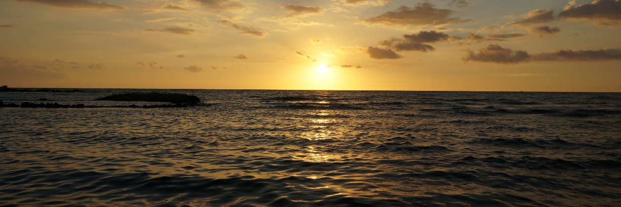 haraheritz's profile banner image