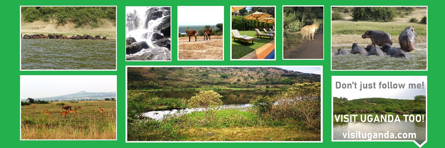 Silvester 🇺🇬 banner