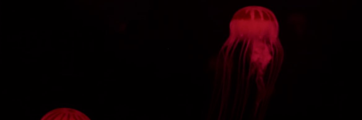 usedtobedarks's profile banner image