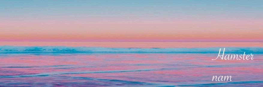 hamster_nam's profile banner image
