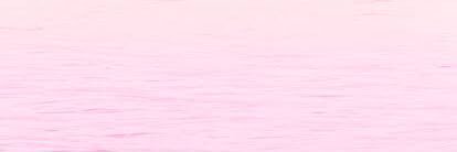 salssz's profile banner image