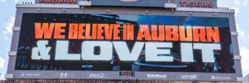 Tim Still 🦅WDE!!! banner
