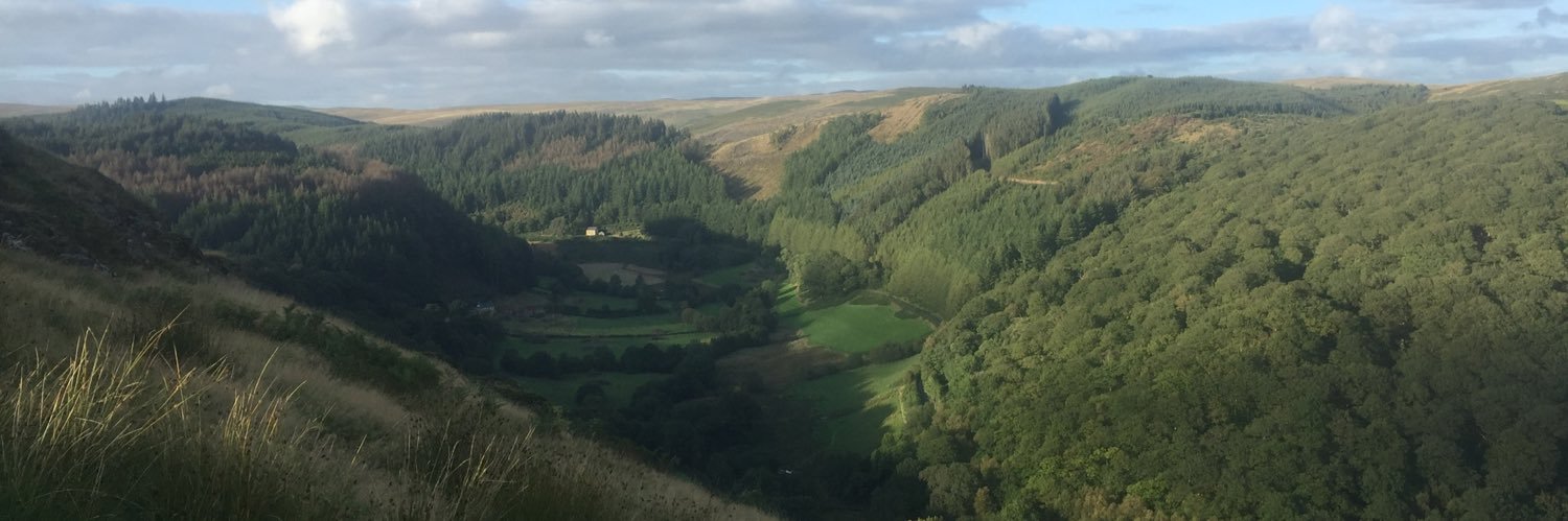 Francis Matthews banner