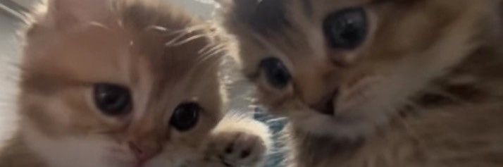 ket_388's profile banner image