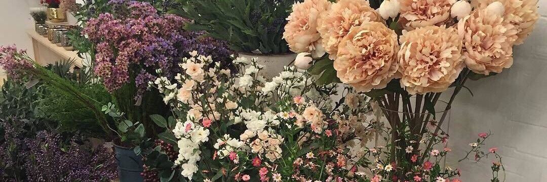 softyalice's profile banner image