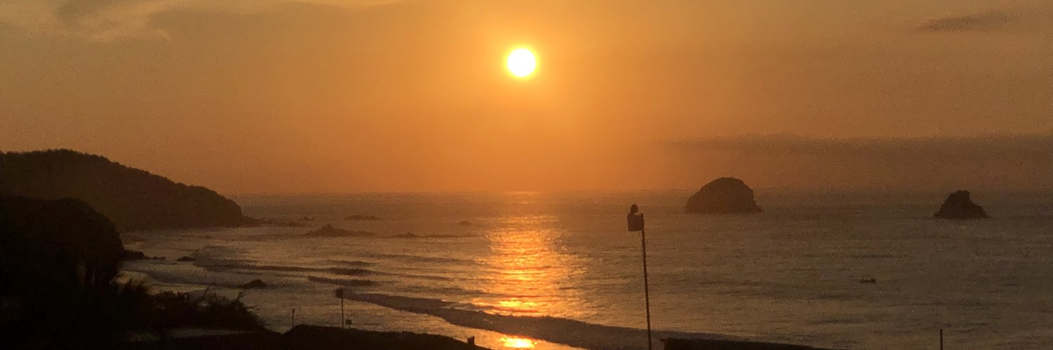 ANA PAOLA LARA banner