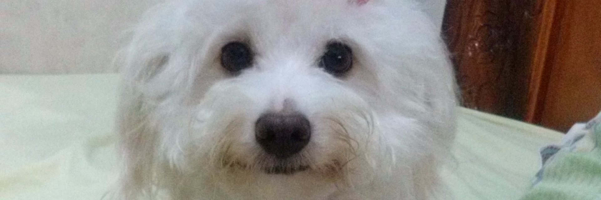 nilkayus's profile banner image