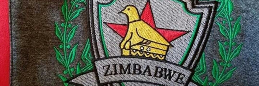 Ministry of Povo banner