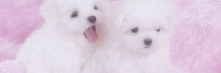 sleep banner